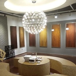 Lámpara de araña contemporánea creativa redonda colgante