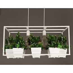 Lámpara colgante de diseño decorativo contemporáneo moderno (no incluye plantas)