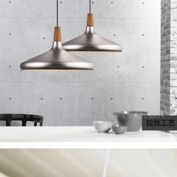 Lámpara colgante moderna contemporánea de metal de 1 luz
