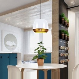Lámpara colgante contemporánea moderna de 1 luz con pantalla negra, blanca, roja y azul