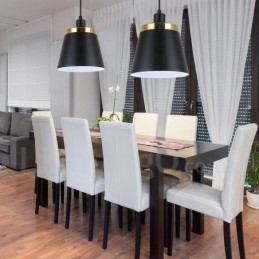 Lámpara de techo colgante moderna y contemporánea de 1 luz