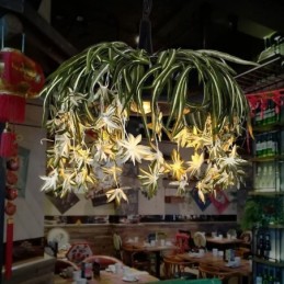 Lámpara colgante para el hogar estilo industrial decorada con plantas artificiales