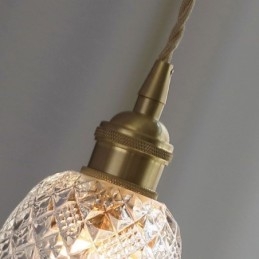 Lámpara colgante de cristal con diseño de flores, moderna, de 1 luz, decorativa.