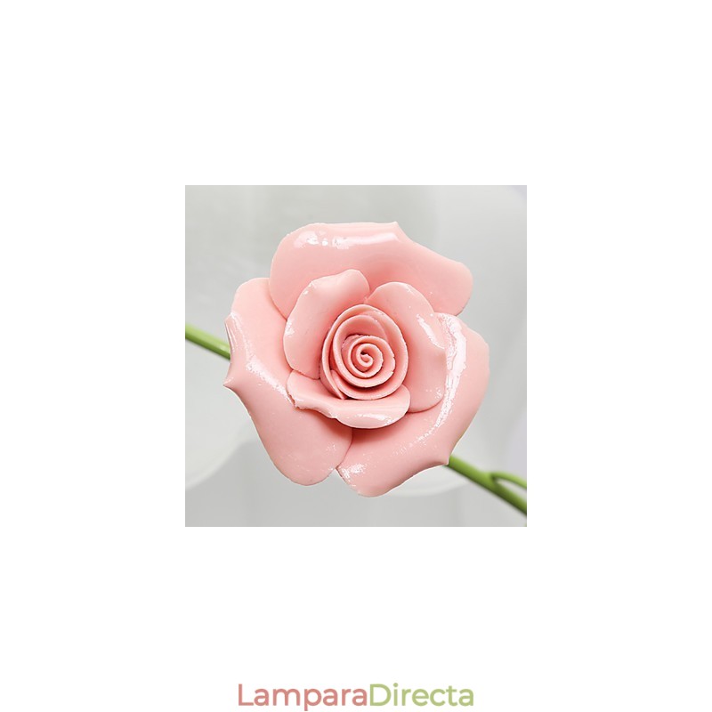 Día de San Valentín: Las flores y plantas del jardín de rosas absorben la luz del domo.