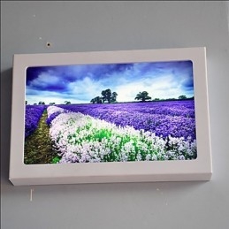 Pintura contemporánea moderna integrada para apliques de pared con luz ambiental.