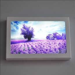 Pintura contemporánea moderna integrada para apliques de pared con luz ambiental.
