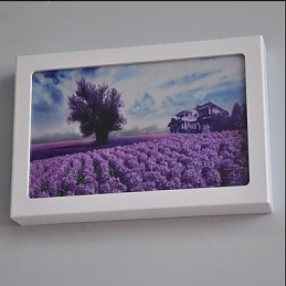 Pintura contemporánea moderna integrada para apliques de pared con luz ambiental.