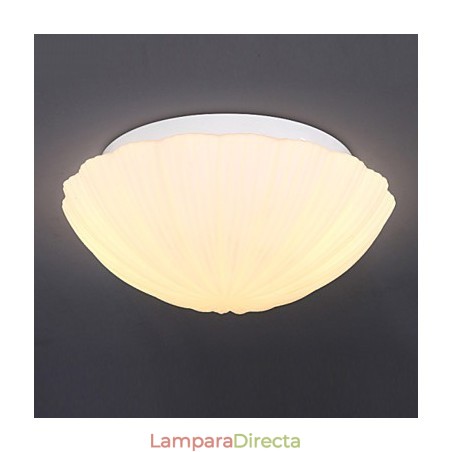 Las conchas de vidrio creativas nórdicas para absorber la luz de la cúpula Las conchas de vidrio creativas nórdicas para absorber la luz de la cúpula