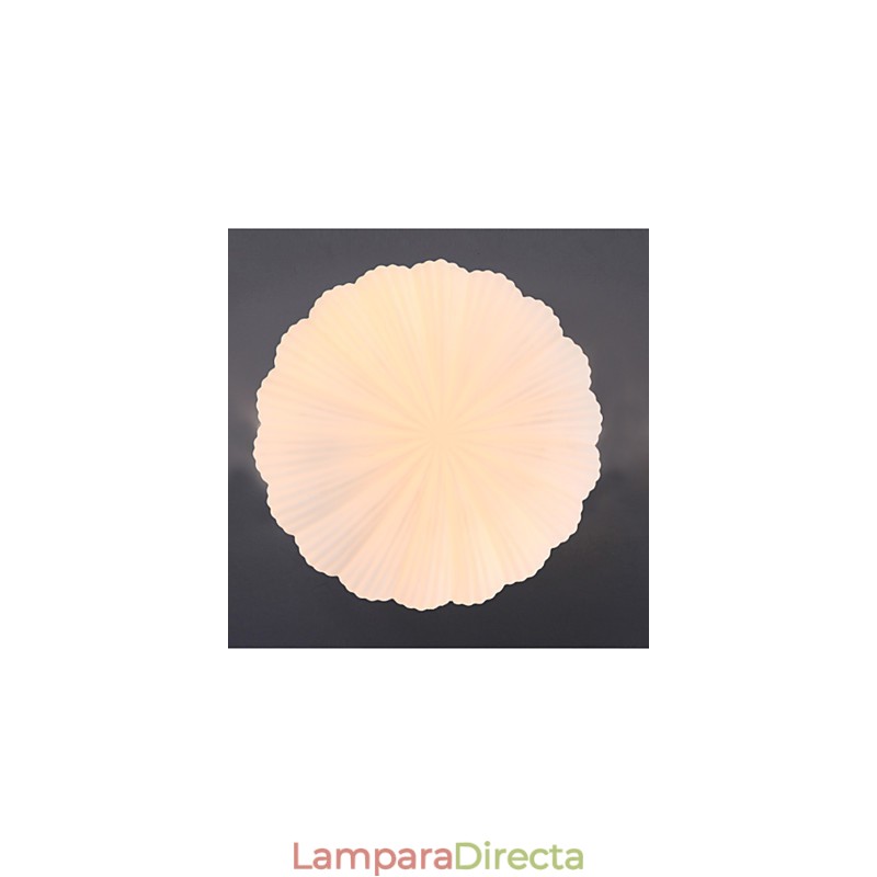 Las conchas de vidrio creativas nórdicas para absorber la luz de la cúpula