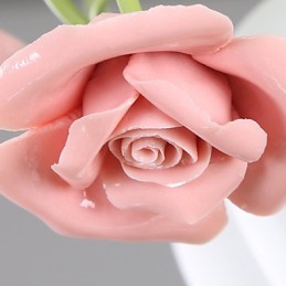 Día de San Valentín: Las flores y plantas del jardín de rosas absorben la luz del domo.