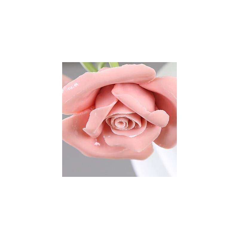 Día de San Valentín: Las flores y plantas del jardín de rosas absorben la luz del domo.
