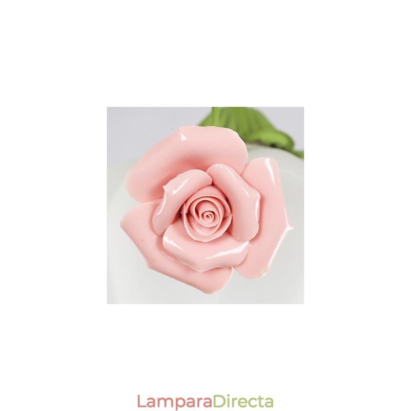 Las flores y plantas del jardín del Día de San Valentín absorben la luz del domo