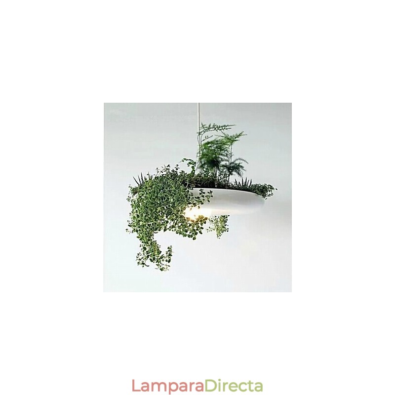 Lámpara colgante de metal moderna y contemporánea de otros estilos